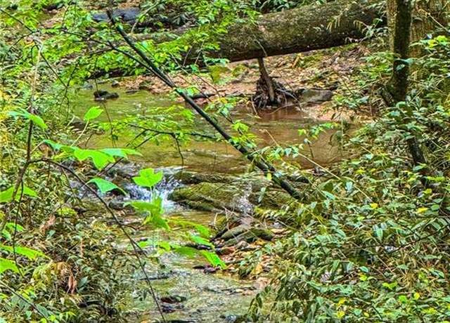 Property at 00 Cavender Creek Rd, Dahlonega, GA 30533