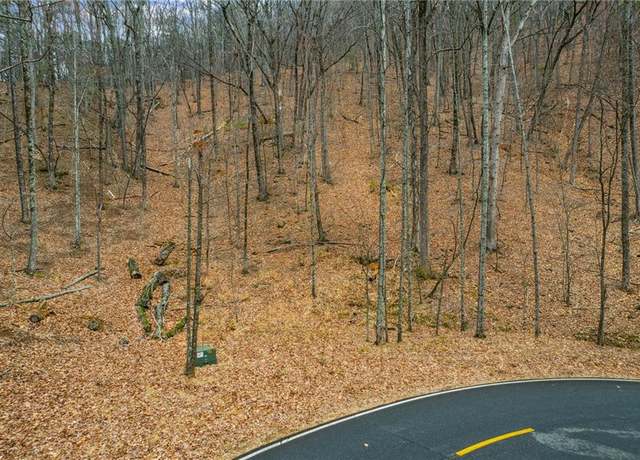 Property at 1111 Quail Cv, Big Canoe, GA 30143