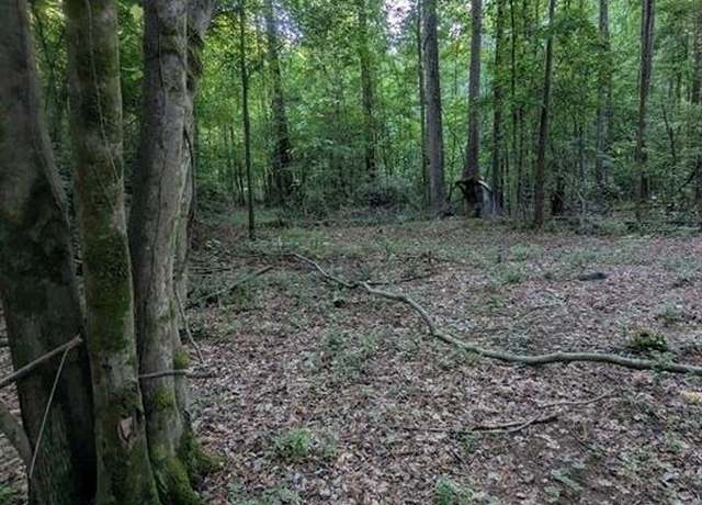Property at 4.2 +/-acres River Rd, Ellenwood, GA 30294