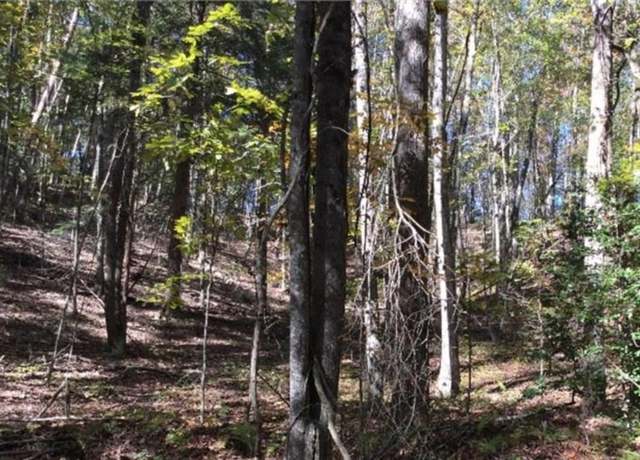 Property at 0 Walhalla Lot 387 Ct, Ellijay, GA 30540