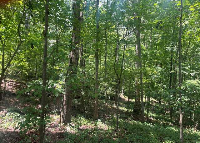 Property at 2049 Henry Scott Rd-lot C 2.3 Acres, Ball Ground, GA 30107