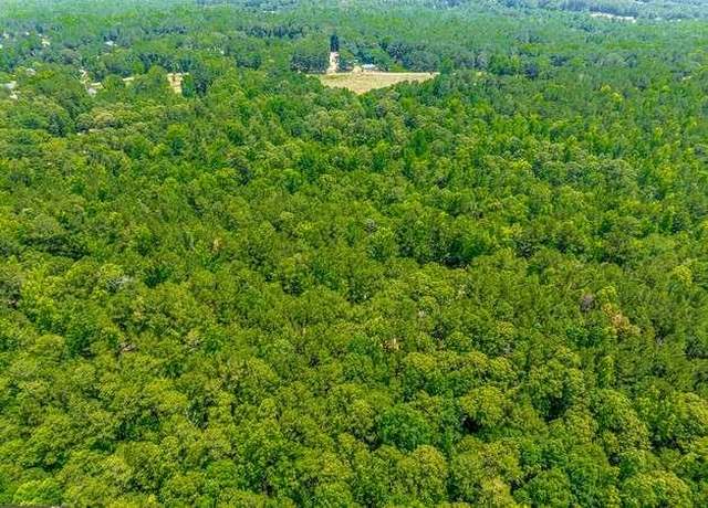 Property at TRACT Ellistown Rd, Jackson, GA 30233