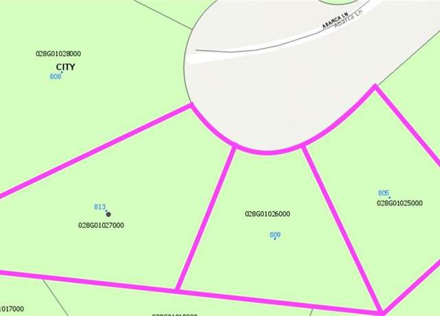 Property at 813 Abarca Ln, Stockbridge, GA 30281