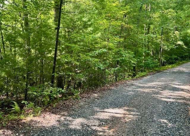 Property at 0 Hillbilly Holler, Blue Ridge, GA 30513