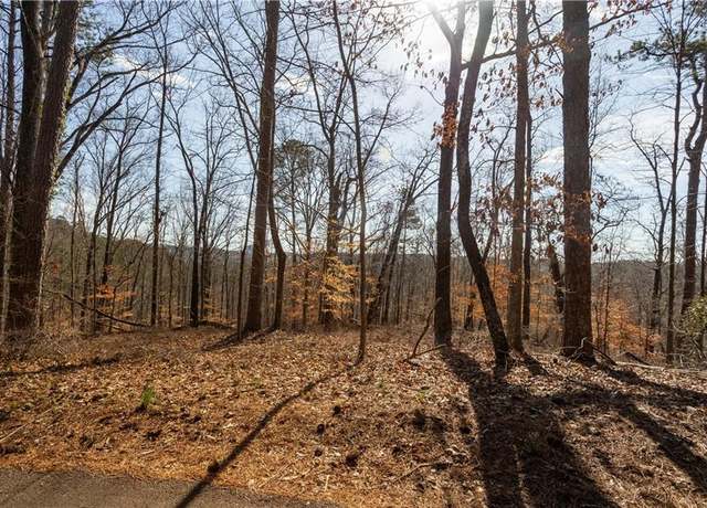 Property at 0 Hospital Cir, Canton, GA 30114