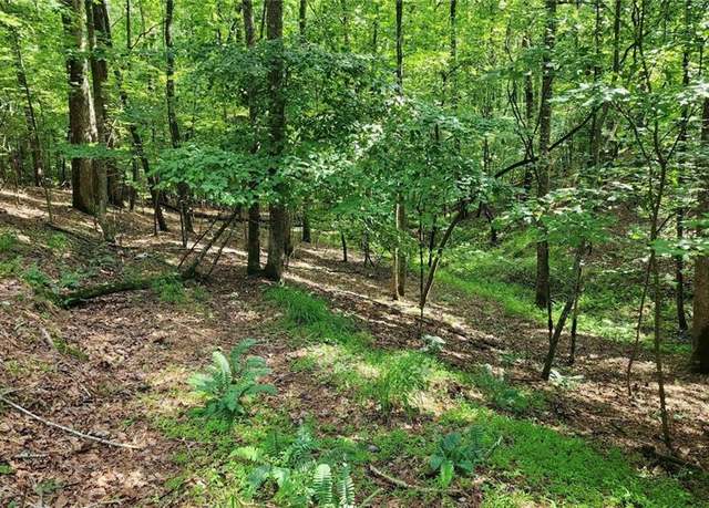 Property at 0 Oneida Cir, Ellijay, GA 30540