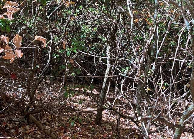 Property at 0 Prospector Pl, Sautee Nacoochee, GA 30571
