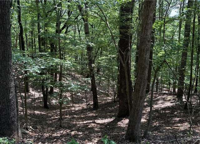 Property at 0 Laurel Mill Trl, Jasper, GA 30143