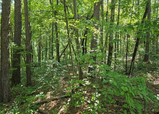 Property at 0 Lawson Federal Rd, Ball Ground, GA 30107