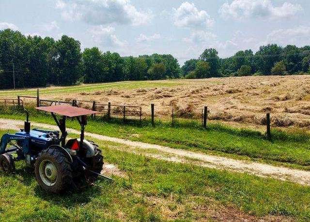 Property at 7286 County Line Rd, Lula, GA 30554
