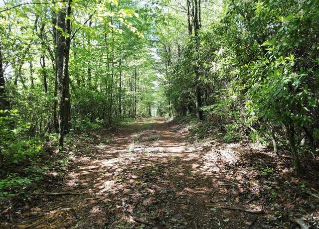 Property at 9.6 AC Ralston Creek Trl, Ellijay, GA 30536