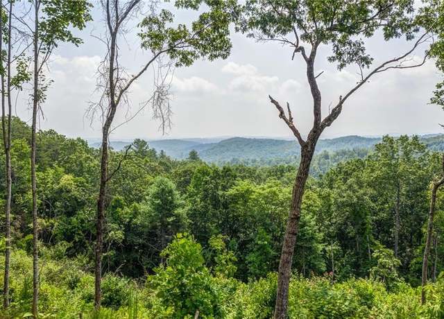 Property at 0 White Oak Cir, Blue Ridge, GA 30513