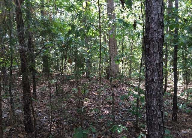 Property at 2900 NE Terrace Ridge Rd NE, Conyers, GA 30012