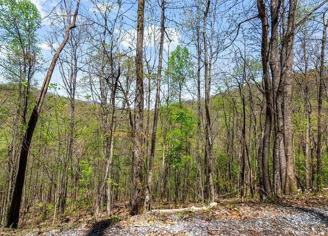 Property at 29 Hidden Valley Dr, Ellijay, GA 30536