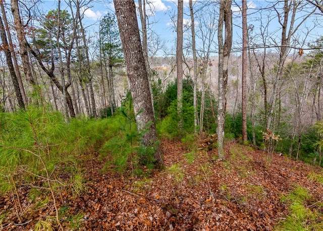 Property at Lot941 Myna Dr, Ellijay, GA 30540