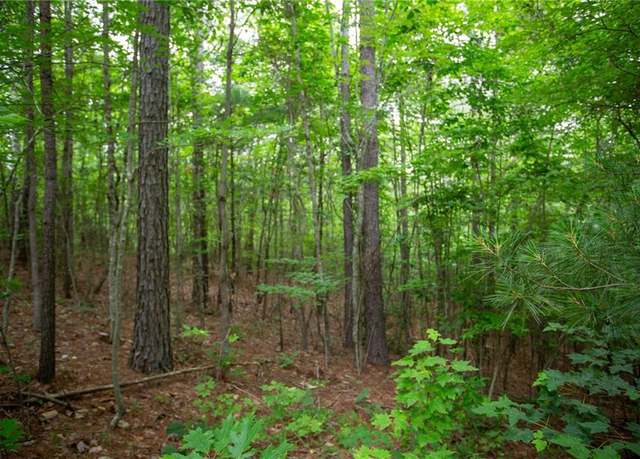 Property at 6480A Highway 52 W, Dahlonega, GA 30533