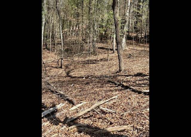 Property at TR 2 East New Hope Rd, Ellijay, GA 30536