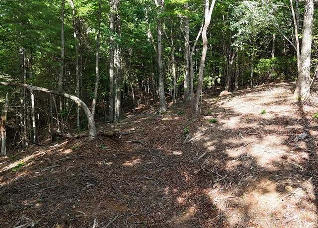 Property at TR 2 East New Hope Rd, Ellijay, GA 30536
