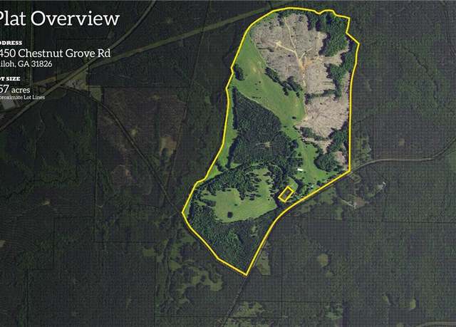 Property at 2450 Chestnut Grove Rd, Shiloh, GA 31826, 3 beds, 1 bath