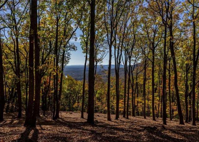 Property at 40.5 A Windsong, Jasper, GA 30143