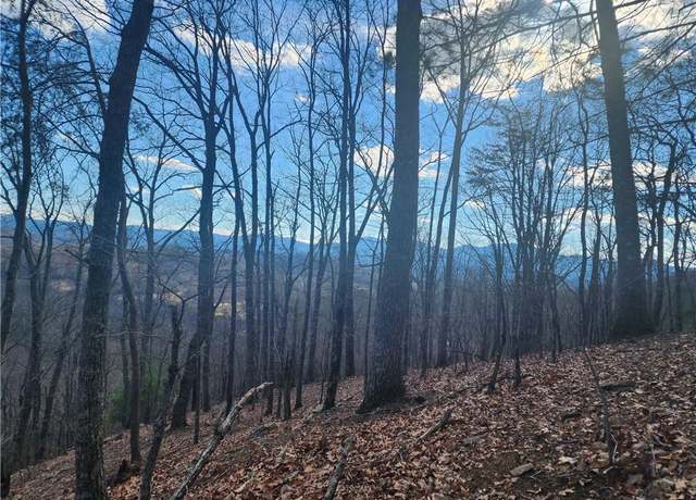 Property at 000 Trackrock Gap Rd, Blairsville, GA 30514