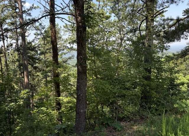 Property at 1579 Dallas Ct, Ranger, GA 30734