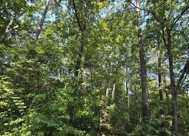 Property at 34-37 County Road 249, Leesburg, AL 35983