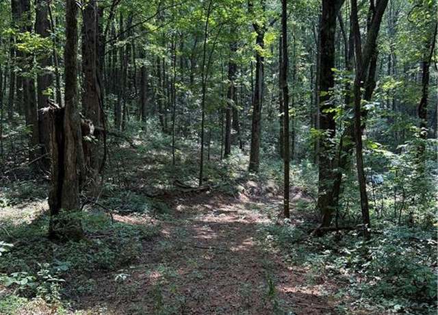 Property at 6180 Burnt Mountain Rd, Ellijay, GA 30536