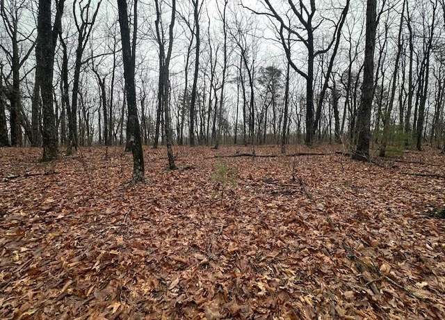 Property at 0 Northland Trl, Ellijay, GA 30536