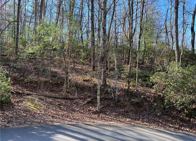Property at 109 S Lake Dr, Ellijay, GA 30536