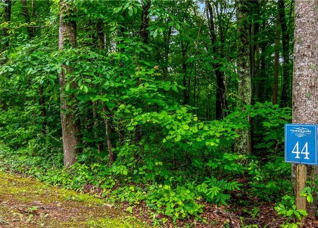 Property at Lot 44 Harris Creek Dr, Ellijay, GA 30540