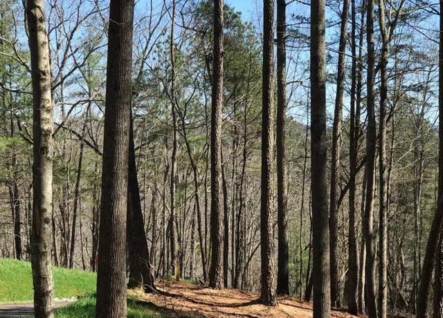 Property at 0 Carters Vw, Ellijay, GA 30540