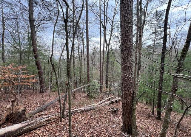 Property at 0 Rustic Way, Ellijay, GA 30540