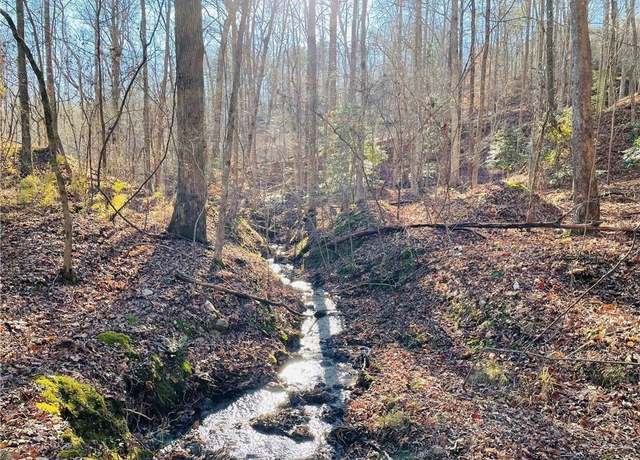 Property at 49 Old Stamp Mill Rd, Dahlonega, GA 30533