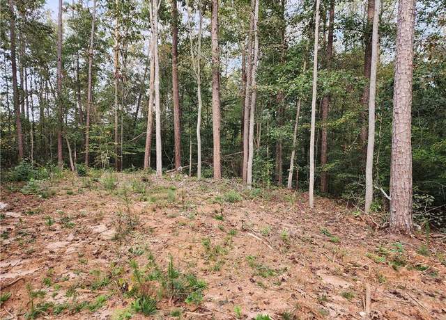 Property at 0 Morris Trl, Carnesville, GA 30521