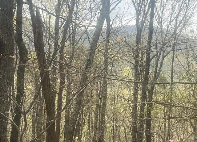 Property at 00 Bee Tree Rdg, Jasper, GA 30143