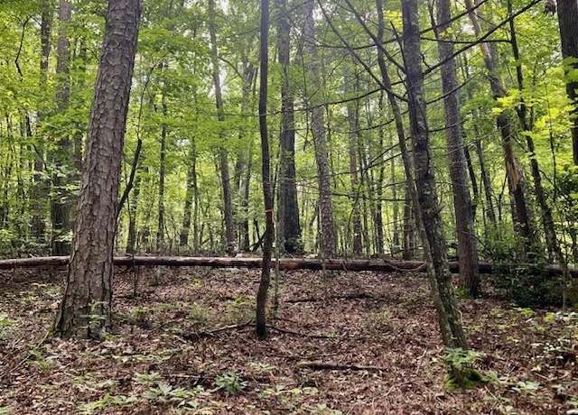 Property at 0 Mountain View Ln, Mccaysville, GA 30555