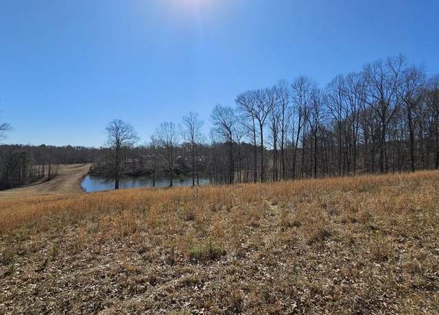 Property at Lot 1 Snote Jones Rd, Dallas, GA 30132