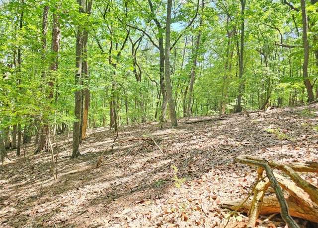 Property at 0 Turnbury Ln, Jasper, GA 30143