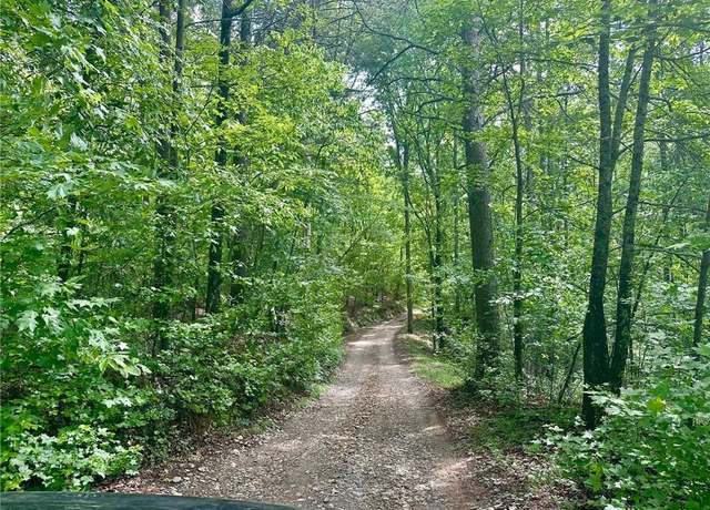 Property at 0 Charlie Lemley Rd, Dawsonville, GA 30534
