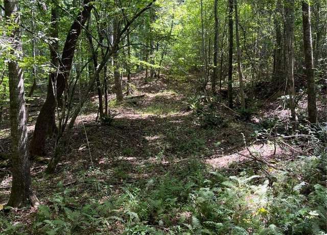 Property at 0 Ga Highway 120, Tallapoosa, GA 30176