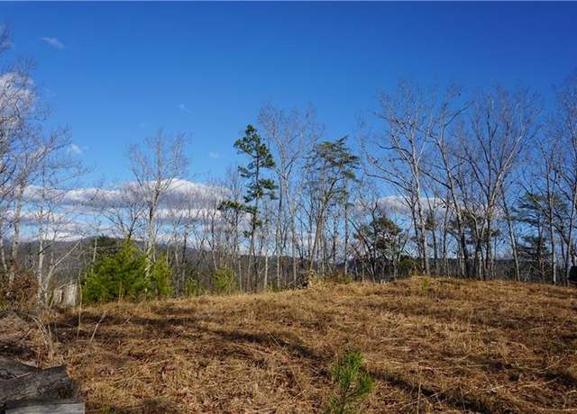 Property at 0 Muscadine Ln, Chatsworth, GA 30705
