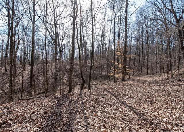 Property at 86.99 Acres Mincie Mtn, Murrayville, GA 30564