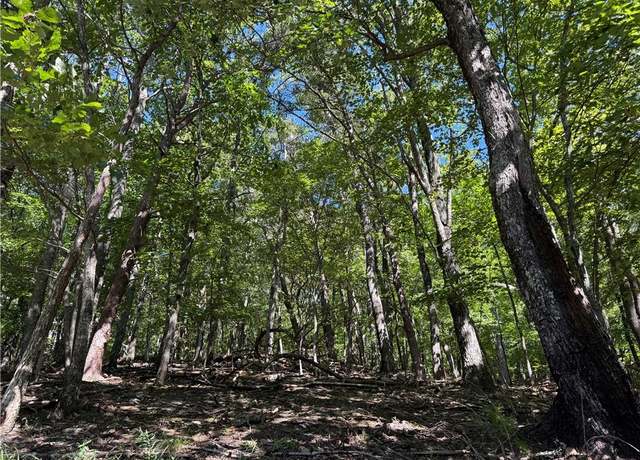 Property at 0 Moss Patch Trl, Jasper, GA 30143