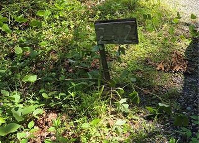 Property at 282 Crane Mountain Rd, Toccoa, GA 30577