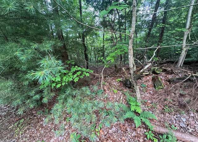 Property at 793 Woodbine Ln, Ranger, GA 30734