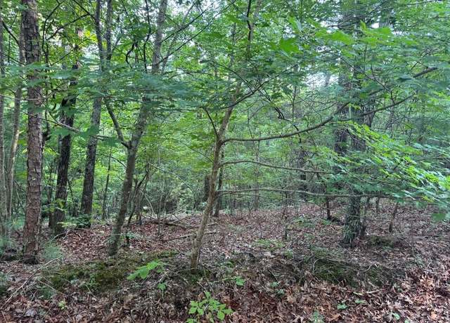 Property at 793 Woodbine Ln, Ranger, GA 30734