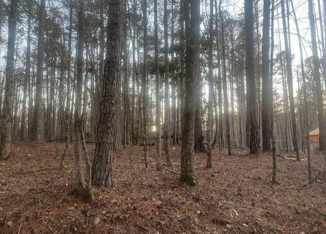Property at 0 Pine Tree Dr, Fayetteville, GA 30214