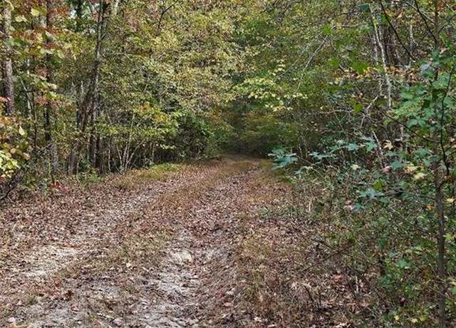 Property at 00 Fruit Farm Rd, Summerville, GA 30747