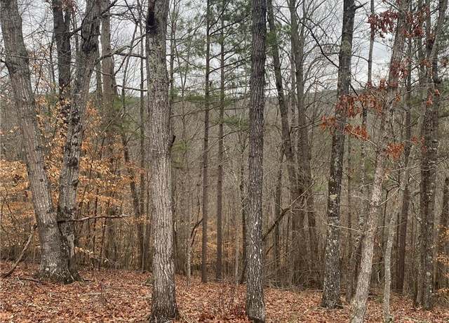 Property at 0 Crayfish Pl, Talking Rock, GA 30175